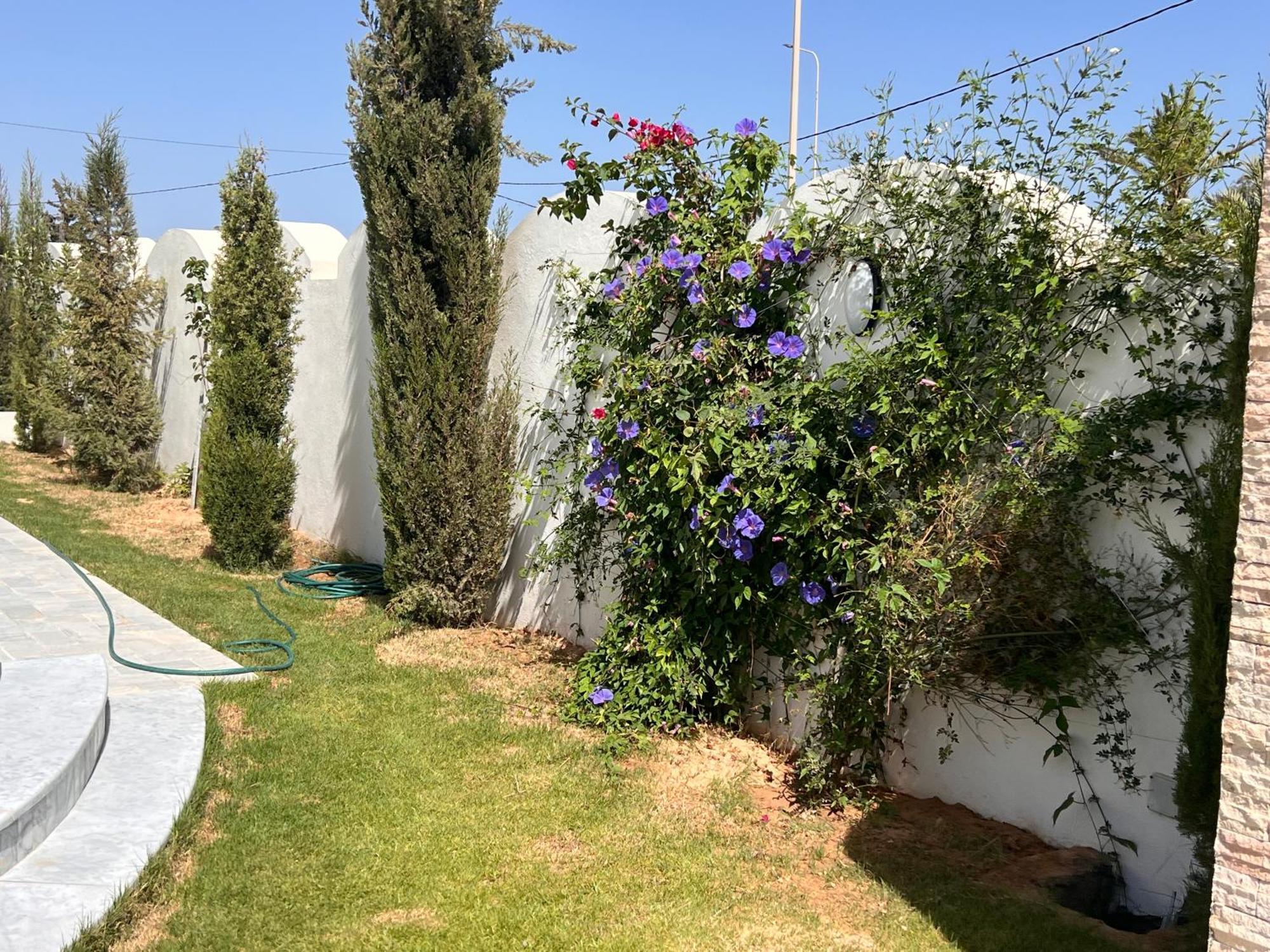 Villalina Haut Standing Djerba Ajim Kültér fotó